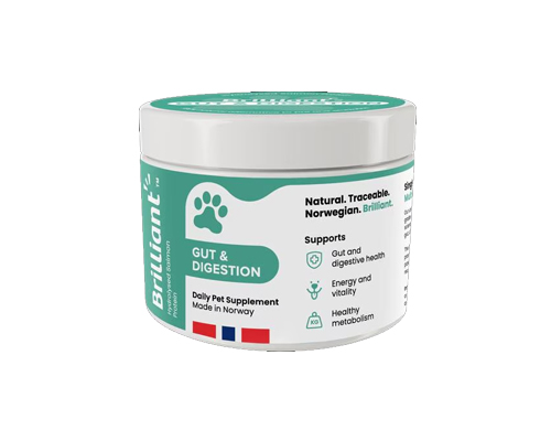 Brilliant Gut & Digestion Support Powder Supplement for Dogs