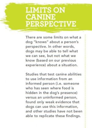 How does your dog’s mind work? | Animal Wellness Magazine