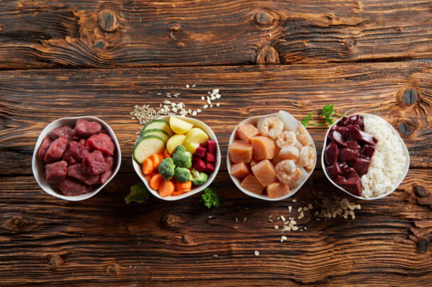 View of Feeding your dog’s nervous system | Animal Wellness Magazine