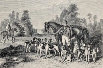 A short history of dog training | Animal Wellness Magazine